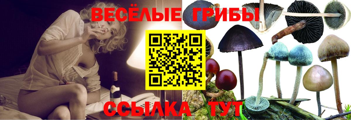 Галлюциногенные грибы мухоморы Качканар