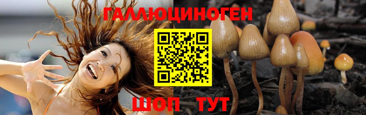 Псилоцибиновые грибы Cubensis  Галлюциногенные грибы MAGIC MUSHROOMS  Качканар  Вход с VPN 